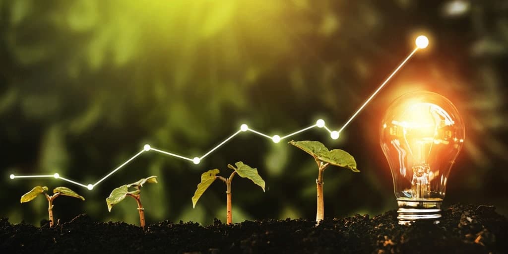 Virtual Assistants’ Growth and Development With Virtual Staffer Philippines
