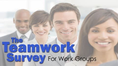 Teamwork Survey