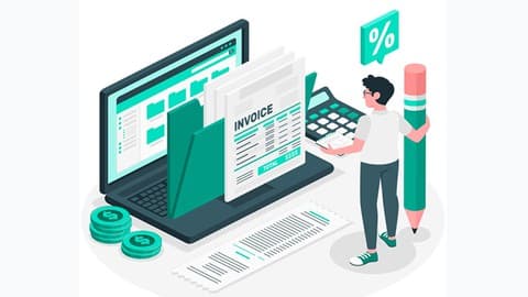 Professional Accountant using Excel