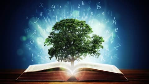 Secrets Of Wisdom (Law Of Attraction)