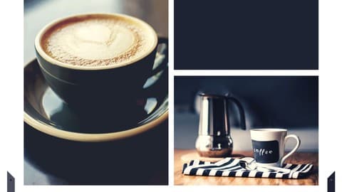 Utilizing Canva creatively design marketing content & more