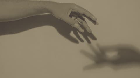 Embracing the Shadow : A Journey to Healing and Wholeness