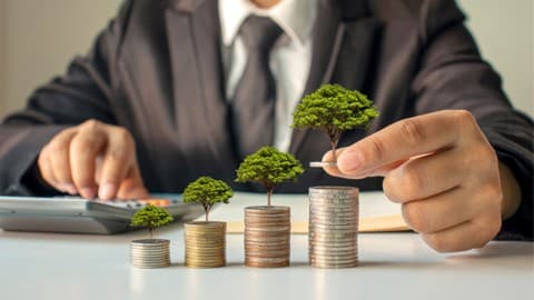 Certified Professional Financial Accountant