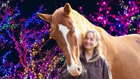 Equine Communication Training