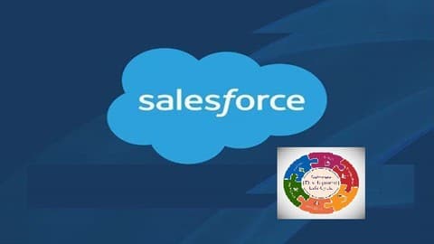 Salesfoce Development Lifecycle  & Deployment Architect