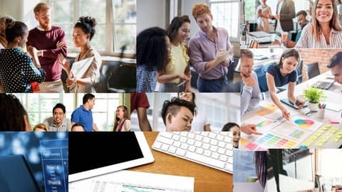 Project Management - Project Manager (PMO)
