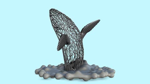 3D Printing and 3D Design Using Autodesk Meshmixer