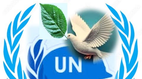 Military Ethics and Leadership in Peace Support Operations