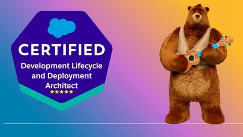 Salesforce Deployment Architect Certification Practise Exams