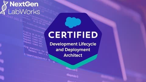 Salesforce Development Lifecycle & Deployment Architect
