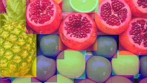 Complete Data Annotation and Machine Learning Course 2026