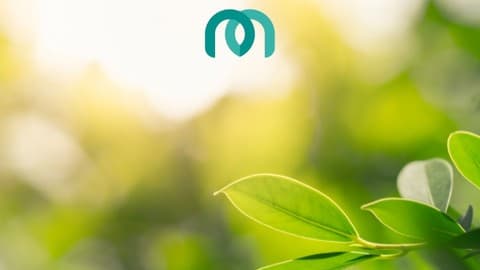 Making Hybrid or Remote Work - Work
