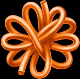 Fin logo
