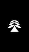 Larsson Group