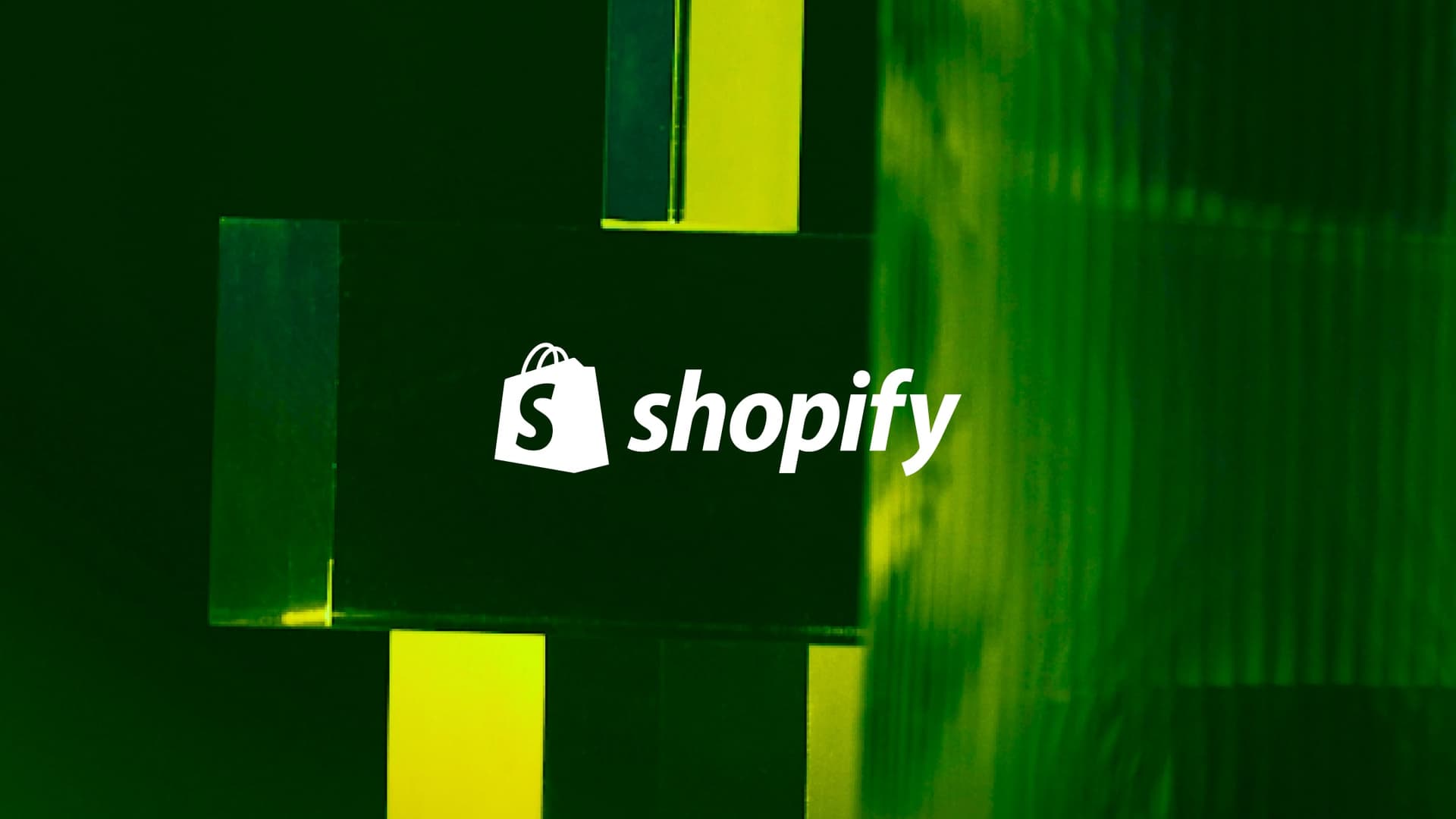 The Niche Expertise of Shopify VAs: How They Can Cater to Your Unique Business Needs