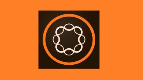 AD0-E134 Adobe Experience Manager Sites Developer Expert