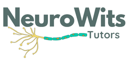 Neurowits logo