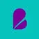 bixal logo