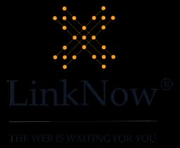 LinkNow Media logo